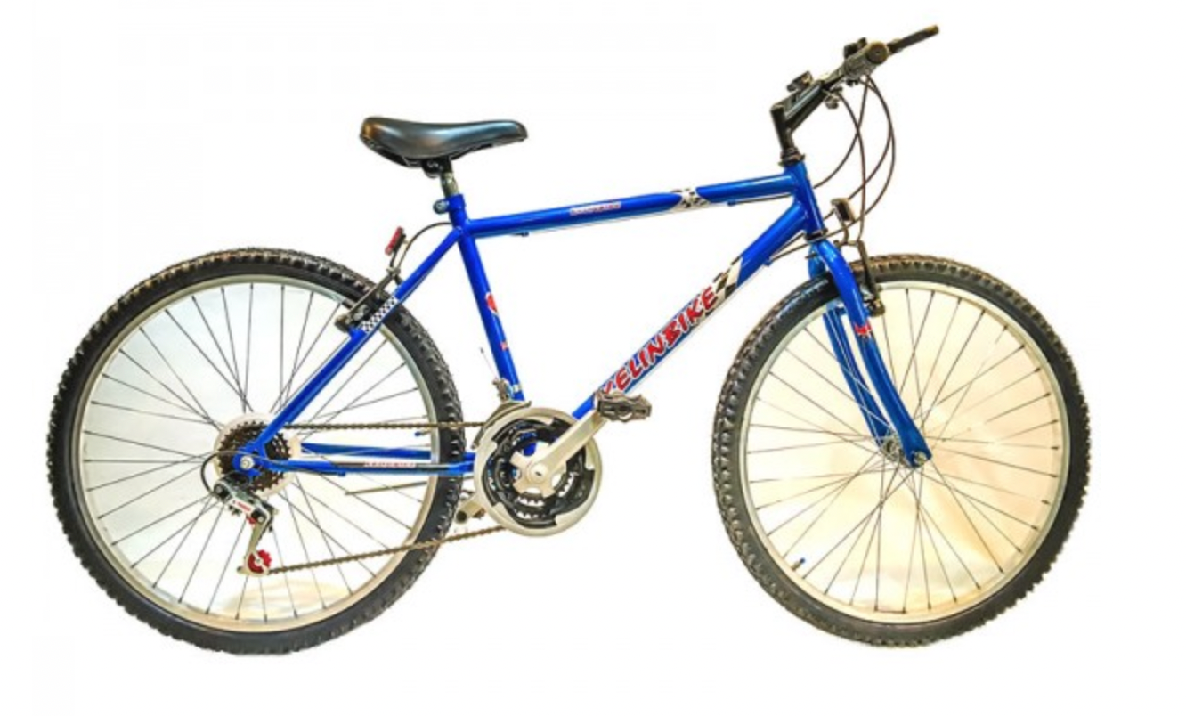 Firebird discount bikes devoto